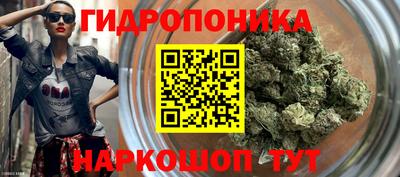 ПСИЛОЦИБИНОВЫЕ ГРИБЫ Краснознаменск