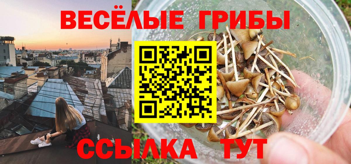 Галлюциногенные грибы мухоморы Грязи