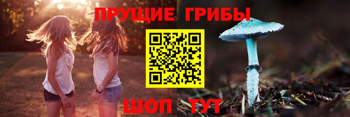 Галлюциногенные грибы Psilocybine cubensis  Псилоцибиновые грибы Magic Shrooms  Вход с VPN  Грязи 
